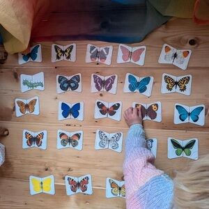 Vintage butterfly matching game learning resources